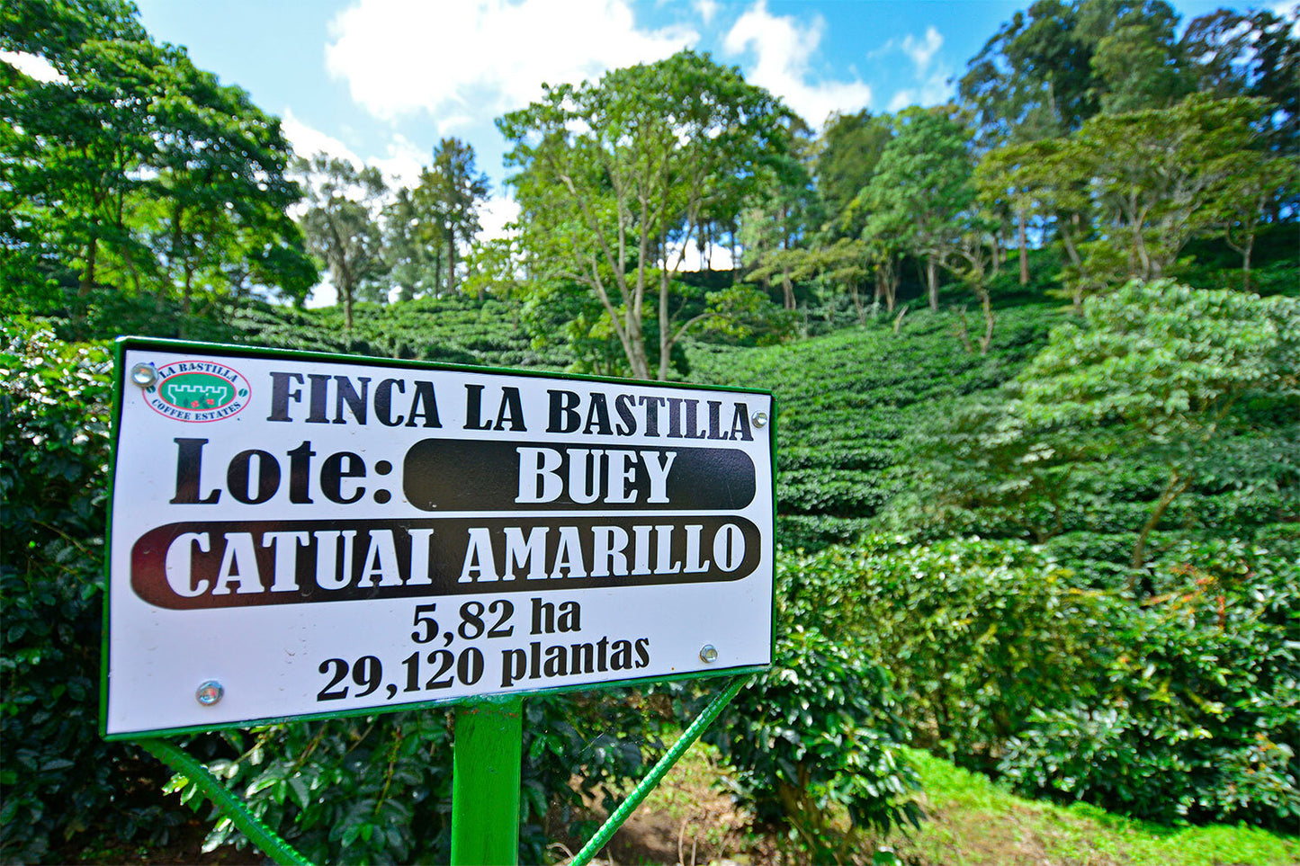 Nicaragua La Bastilla Estates - Natural