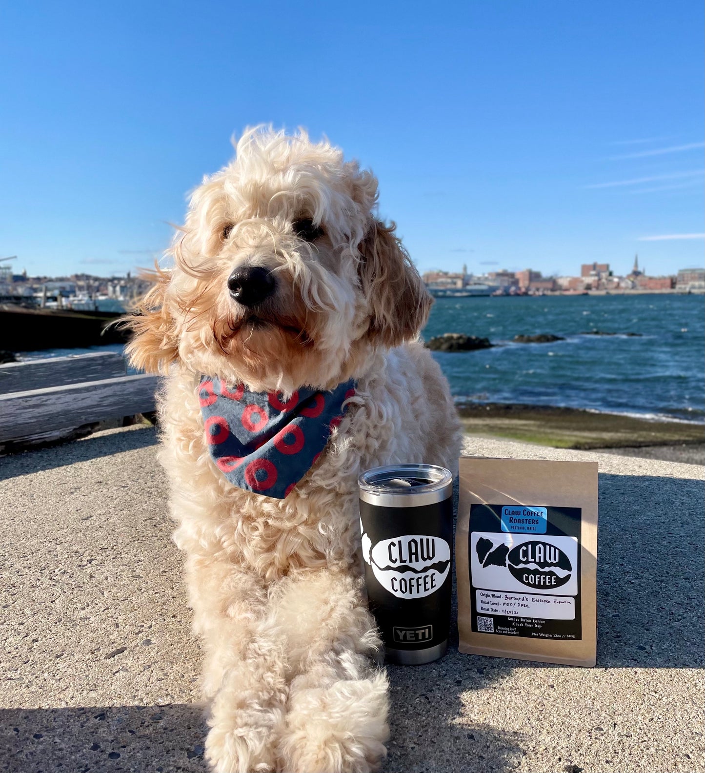 Bernard's Espresso Euphoria